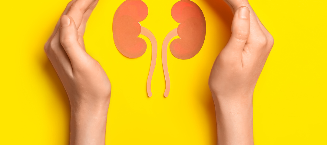 Chronic Illness Treatment | Chronic Kidney Disease